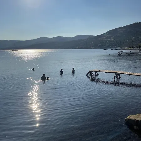 Sivrice Faros Butik *